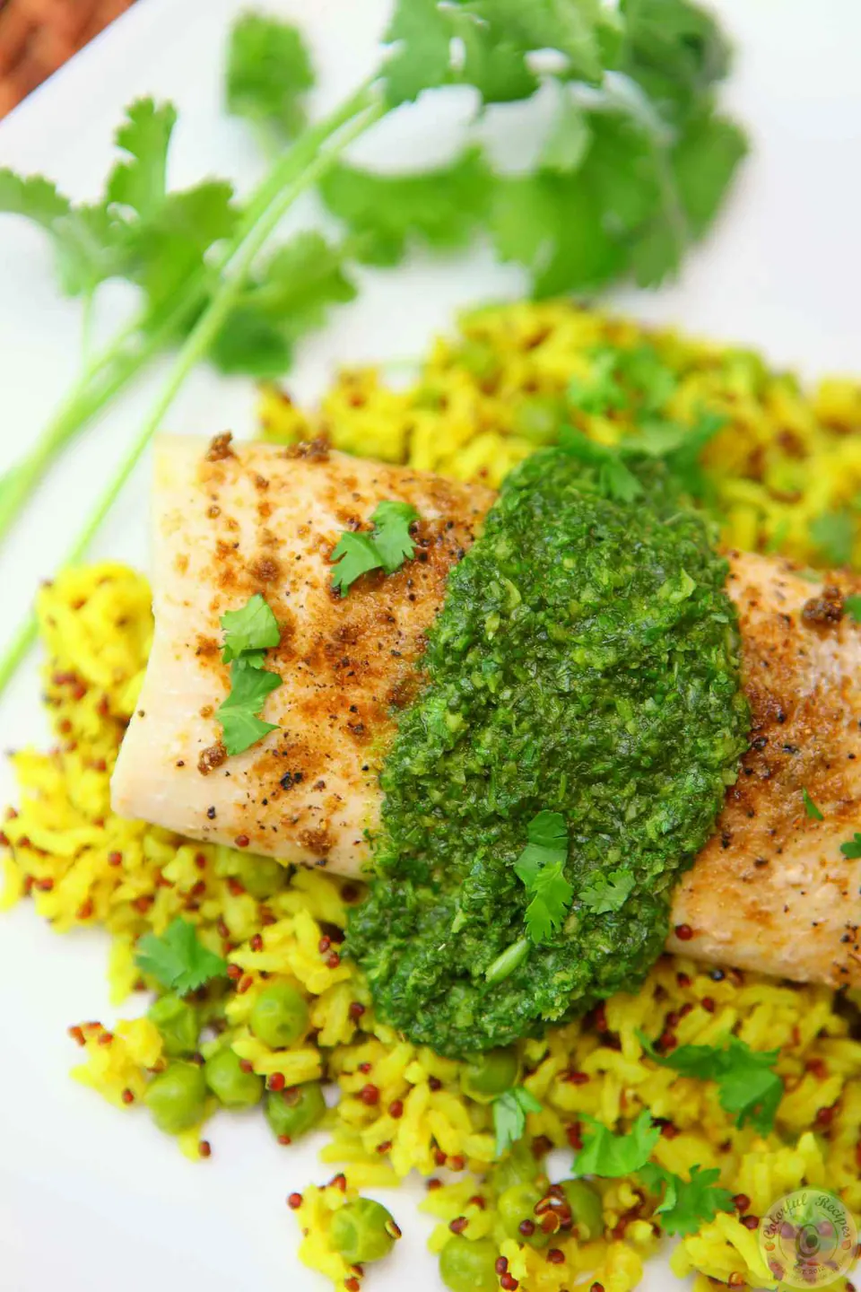 Plate of mahi-mahi with cilantro chutney and yellow turmeric rice