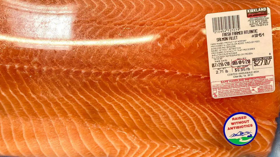 Costco farm-raised Atlantic salmon fillet from Norway raised without antibiotics