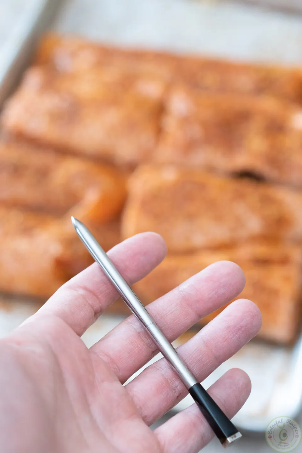 Hand holding a MEATER thermometer probe next to seasoned salmon