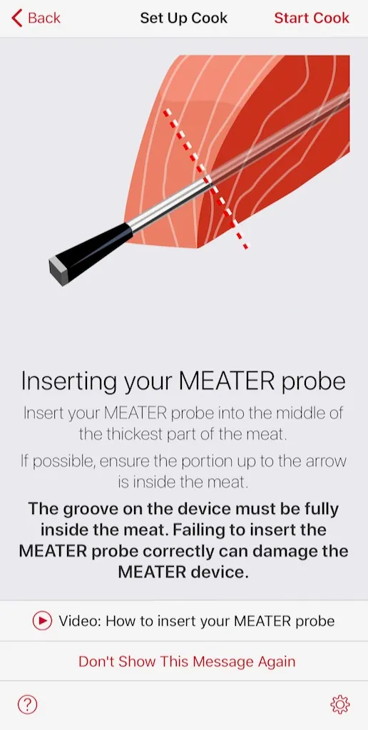 MEATER app instructions for inserting the probe into the salmon