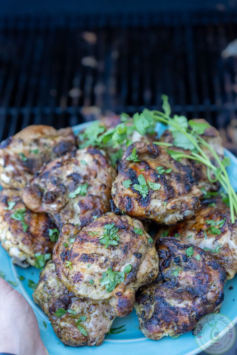 Cilantro lemon garlic grilled chicken thighs served with summer sides