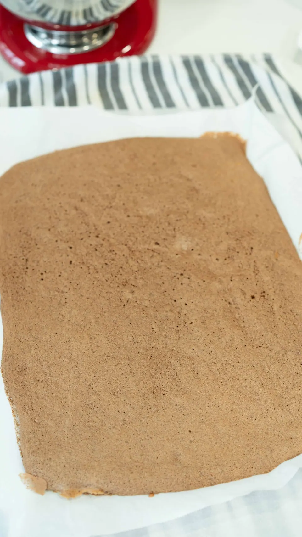 Baked chocolate sponge cake for the Yule Log on parchment paper