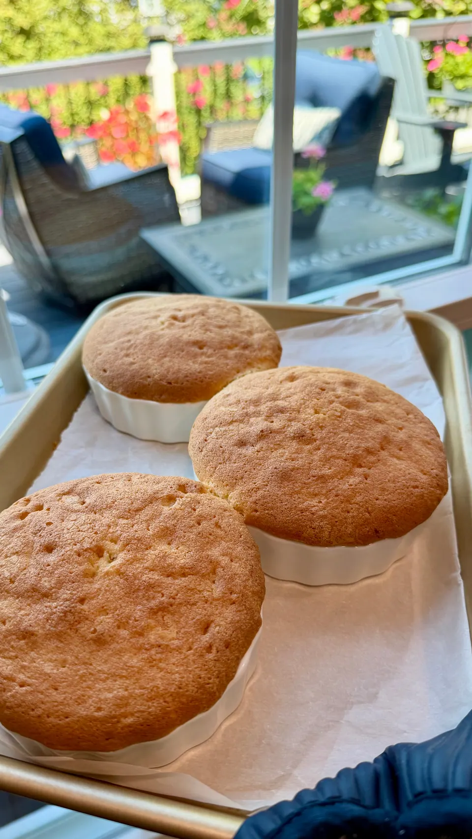 Golden baked butter cakes in ramekins on a baking sheet